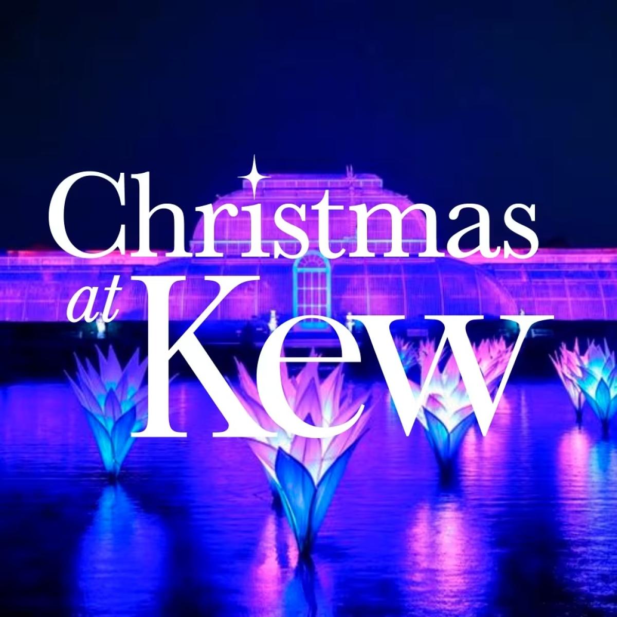 Christmas at Kew – рождественские огни в Королевских ботанических садах