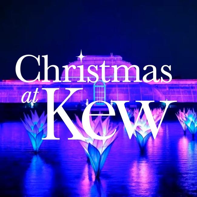 Christmas at Kew – рождественские огни в Королевских ботанических садах